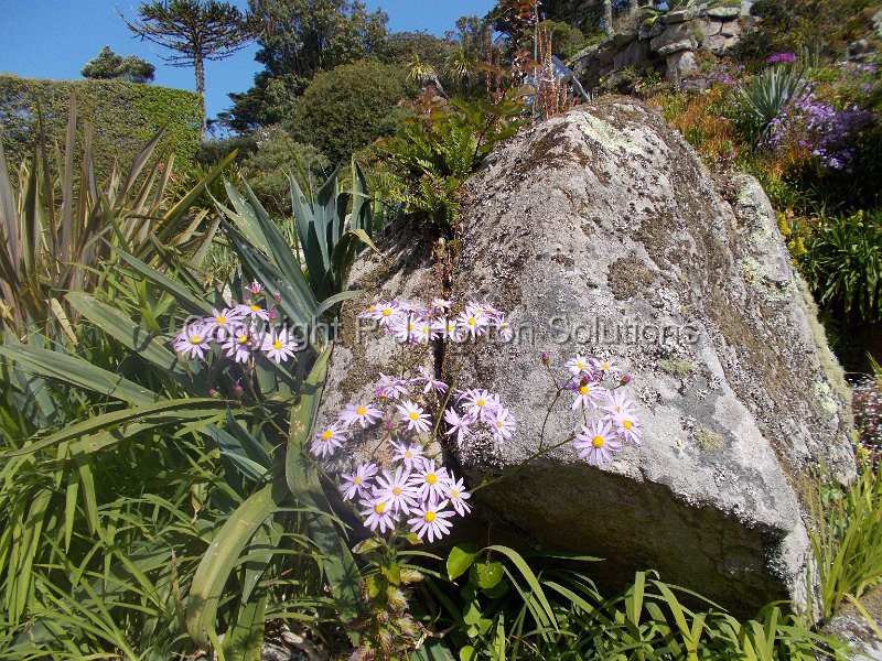 Tresco Abbey - L